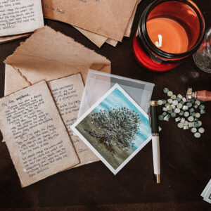 Treasures From Under The Party Tree